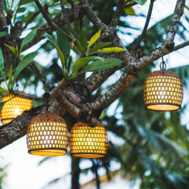 a cluster of small, woven lanterns hang from a leafy tree branch