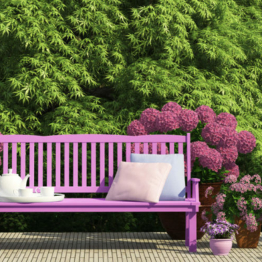 a bench painted in a bright shade of fuschia sits on a patio in front of a hedge