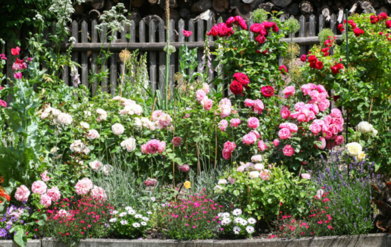a crowded, cottage style flower bed