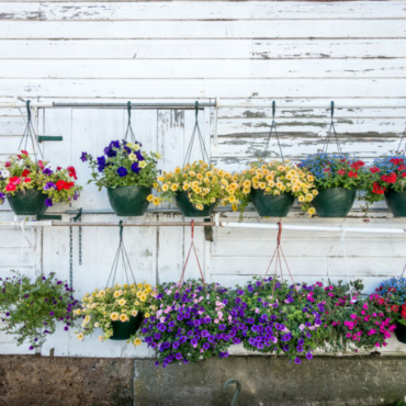 two rows of multicoloured hanging baskets on a fence