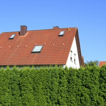 a house hidden behind thick garden hedges for privacy