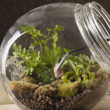 someone using tongs to place decorative stones inside a bottle garden jar with a wide neck
