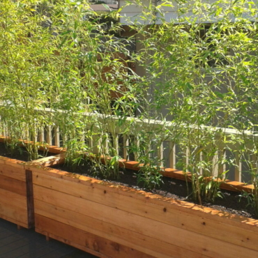 How to Build a Planter Box for Bamboo 4