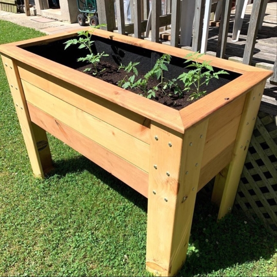 7 Types of Best Wood for a Planter Box 1