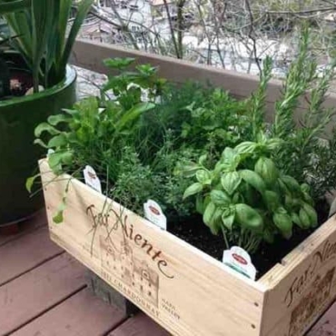 Legless Wine Box Planter