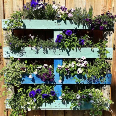 Wall-mounted pallet planter