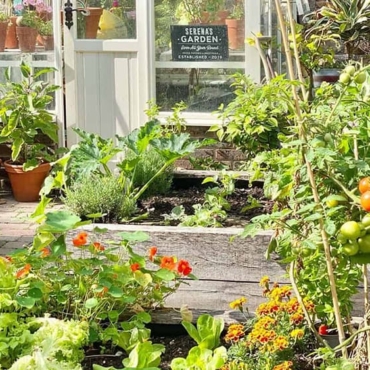 How to Build a Vegetable Planter Box: Grow Healthy Foods 3