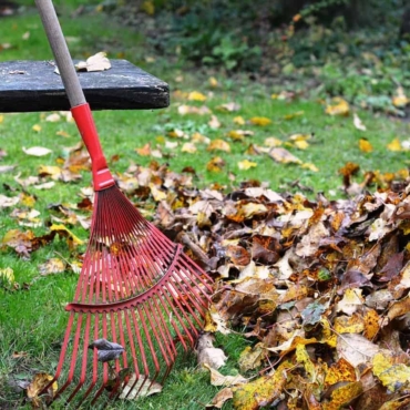autumn garden clean up tips