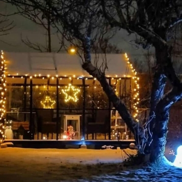 13 Tasty Vegetables To Grow In a Greenhouse In Winter 2