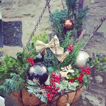 14 Best Plants for Winter Hanging Baskets (Growing Tips) 3