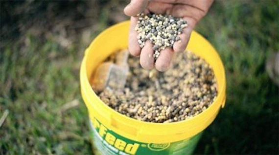 granular fertiliser