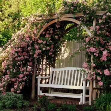rose arch with bench