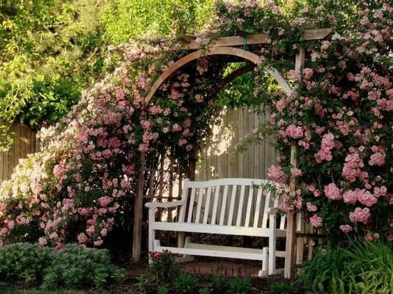 rose arch with bench