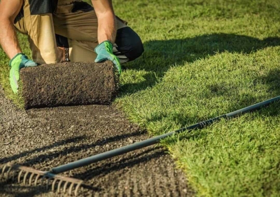 rolling out turf