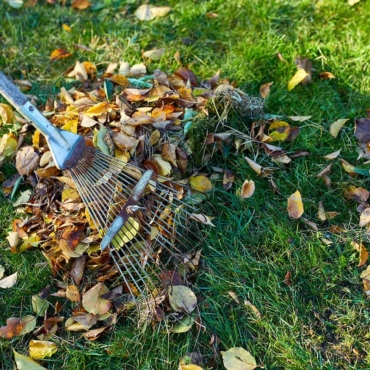 Autumn Lawn Care: 9 Grass Treatments in the Correct Order 4