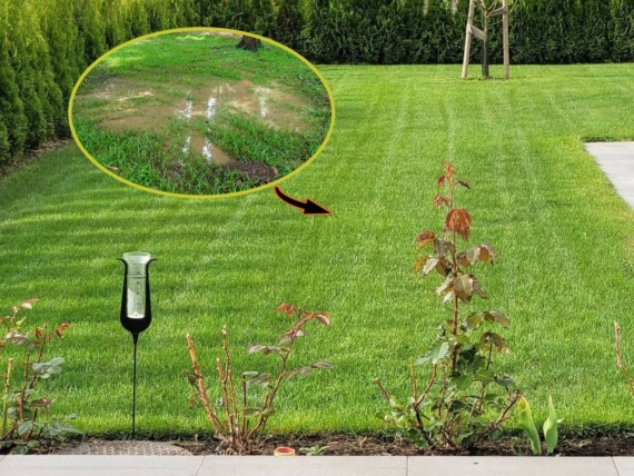 5 Steps to Improve Drainage in Your Clay Soil Lawn 1