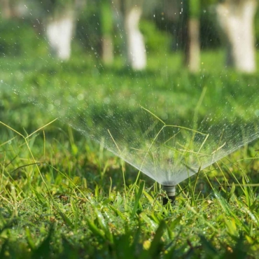 best time of day to water grass