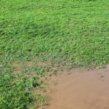 6 Ways to Improve Lawn Drainage and Fix Waterlogged Soil 2