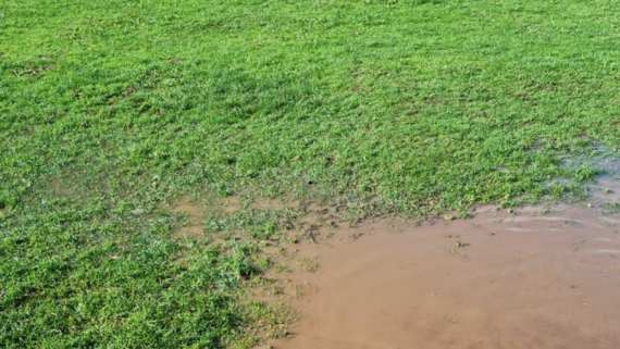 6 Ways to Improve Lawn Drainage and Fix Waterlogged Soil 1