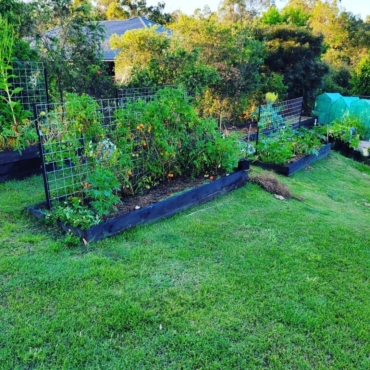 raised bed on grass