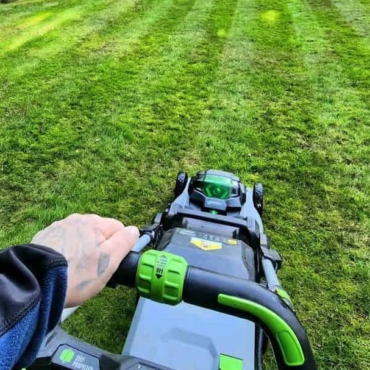 best time of day to mow the lawn in uk