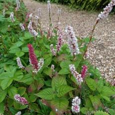 Rock Edging Ideas -10 Ways to Use Stones 2