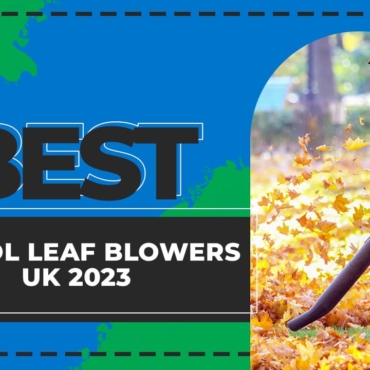 best petrol leaf blowers uk
