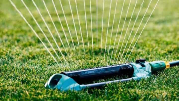 How Long Should You Sprinkle Your Lawn? 1