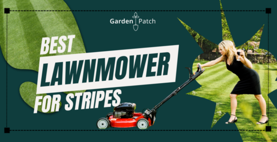 Lawn_Mower_For_Stripes
