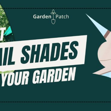 Best Garden Shade Sails for Cheap Sun Shelter (2023 Reviews) 7