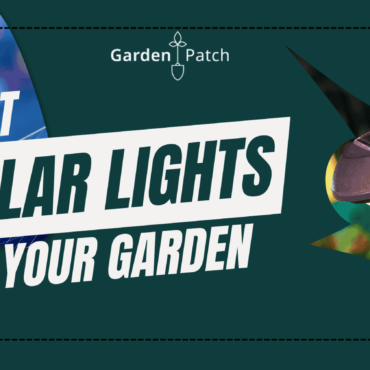 Best Solar Lights for The Perfect Garden Ambience 8
