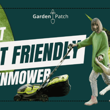 Top-rated Lawn Mowers for Pet Owners UK 5