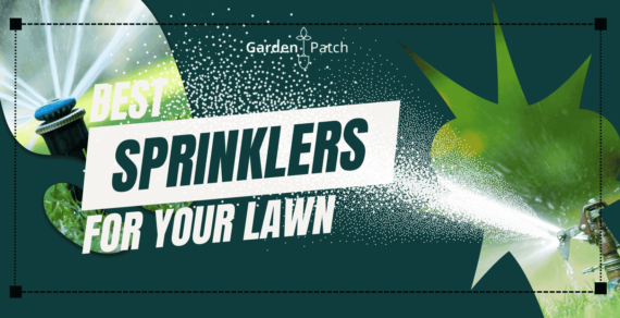 Best Lawn Sprinklers UK 2023 - The Key to a Golf Course Lawn  1