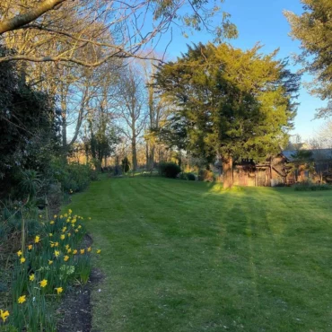 Lawn Care in March: Can You Mow, Feed or Scarify? (Where to Start) 2